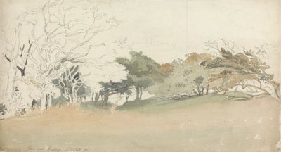 黑斯廷斯附近的树木 作者 约书亚·克里斯塔尔（Joshua Cristall）