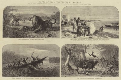 利文斯通博士的旅行记录 作者 Josiah Wood Whymper