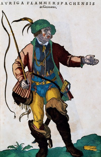 德国马车夫的服装，来自Habitus praecipuorum popularum的图画 作者 约斯特安曼
