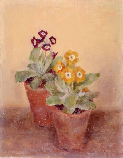 一对罂粟花（绘画） 作者 乔伊斯·哈登