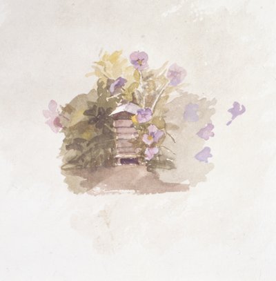 鸟巢花（绘画） 作者 乔伊斯·哈登