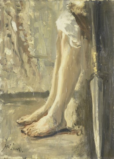 大卫的腿 作者 以色列的约瑟夫 (1824-1911)