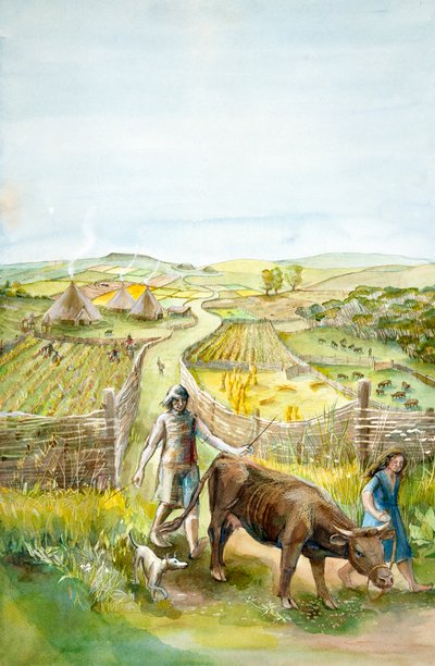 农村景观, 2000BC, c1990-2010 作者 朱迪思·多比