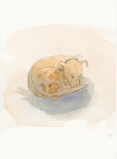 睡狗，2003年。 作者 朱迪思·多比