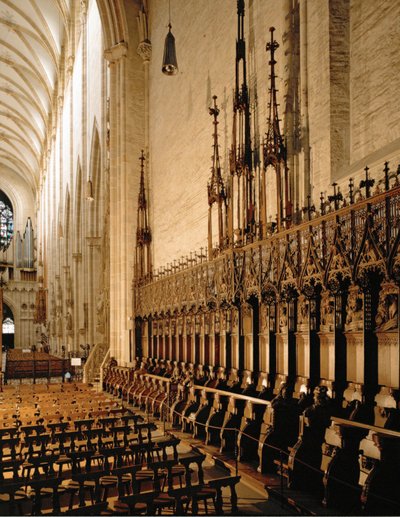 乌尔姆明斯特的蘑菇厅 作者 