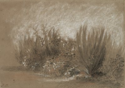 扫帚和荆条》（Genets et Ronces）。 作者 朱尔斯·杜佩