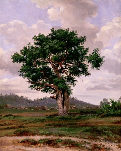 愤怒（脾气暴躁） 作者 Jules Dupré