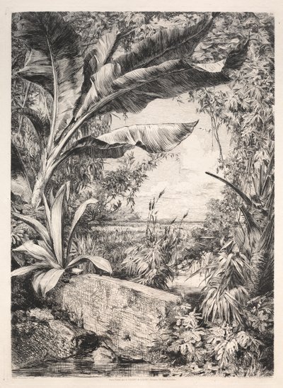 温室植物，1872年。 作者 朱尔斯·费迪南德·雅克马尔