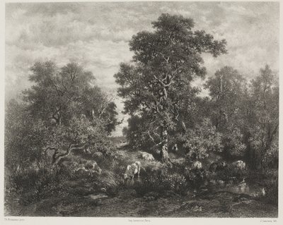 塞奥多·卢梭（ThéodoreRousseau）之后的池塘（1812-67） 作者 朱尔斯·约瑟夫·奥古斯丁·劳伦斯