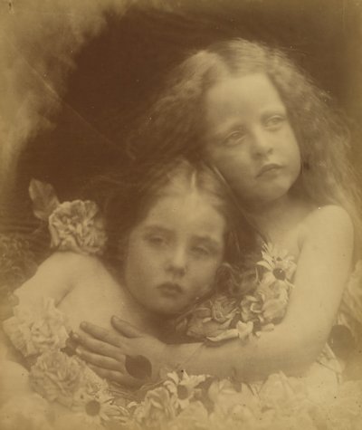 英国之花》，1873年。 作者 朱莉娅·玛格丽特·卡梅伦
