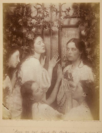 我们没有听说过新郎是如此甜蜜吗，1874年8月。 作者 朱莉娅·玛格丽特·卡梅伦