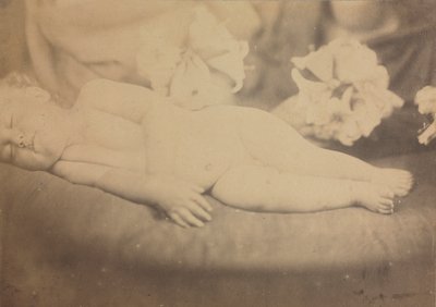 百合和羔羊角c。 1865年。 作者 朱莉娅·玛格丽特·卡梅伦