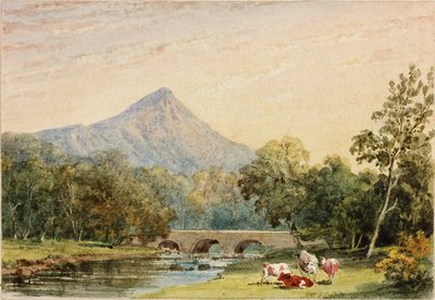 来自Tynnahinch的Sugarloaf Hill（纸上写着（贴在卡片上）） 作者 朱莉娅·斯温本（Julia Swinburne）