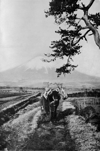 富士地区的农民不以名字命名，而只是以O Yama（名山）命名 作者 朱利安·伦纳德街