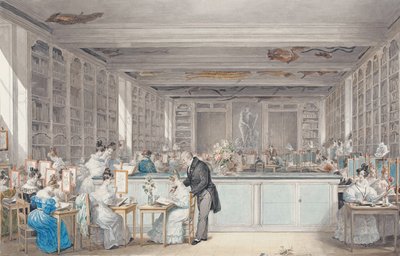 Pierre-JosephRedouté在植物园的布冯室中的植物绘画学院，1830年（纸上有石墨） 作者 朱莉·里伯（Julie Ribault）