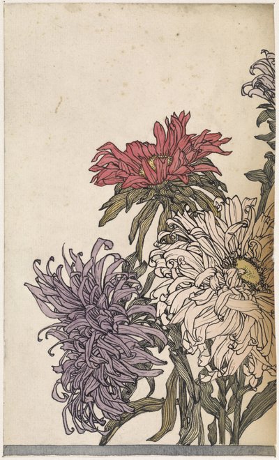 Chrysanten 作者 朱莉·德格拉格