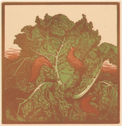 卷心菜上的三只蛞蝓 作者 朱莉·德格拉格