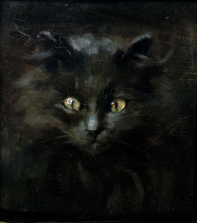 一只猫的肖像 作者 朱利叶斯·亚当