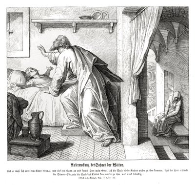 寡妇之子的复兴 作者 朱利叶斯·施诺尔·冯·卡洛斯菲尔德