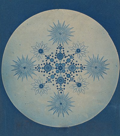 [硅藻结壳]，约1870年。 作者 朱利叶斯·威斯纳。