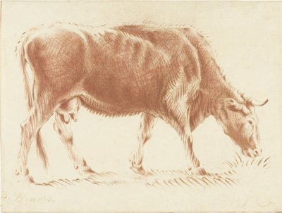 放牧的牛 作者 彼得·范·布洛门（Pieter van Bloemen）