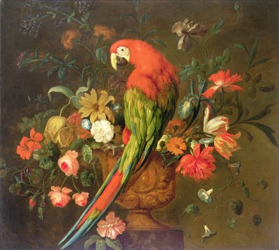 绯红金刚鹦鹉栖息在雕花瓮上（布面油画） 作者 Justus van Huysum
