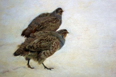 鹧鸪 作者 约瑟夫·切沃文斯基
