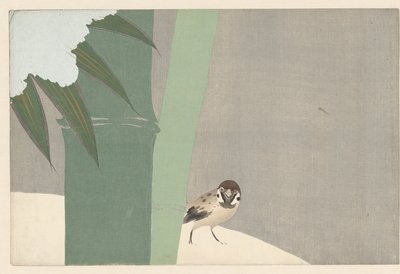 雪中竹
摄竹
百世花开（系列名称）
Momoyogusa, dl. 作者 神坂积家