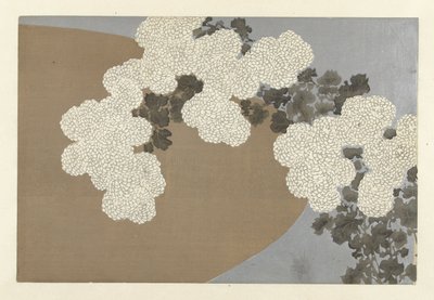 菊花
桃叶草
百世花卉（系列名称）
Momoyogusa, dl. 作者 神坂积家