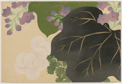 百世花卉（桃源草）：菊花和泡桐（菊切） 作者 神坂积家