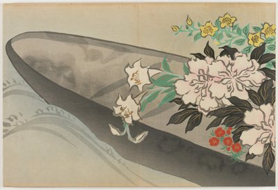 百世花卉（百草）：花船 作者 神坂积家