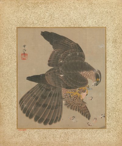 鹰和书法的专辑，17-18世纪。 作者 鹿野洋牧常信
