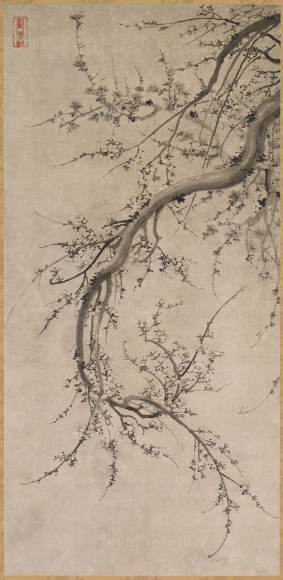 梅花，17世纪。 作者 卡诺A