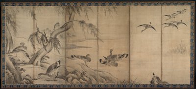 大雁 作者 狩野山乐