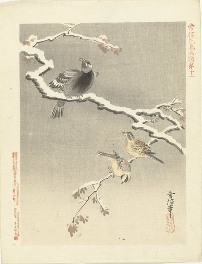 雪枝上的三只鸟
狩野常信的花鸟素描（系列标题）
Kano Tsunenobu kacho gafu（物体上的系列标题） 作者 青木小三郎
