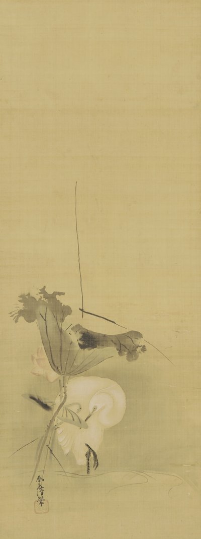 苍鹭和莲花，江户时代，17世纪中叶 -  18世纪初（丝绸上的墨水和颜色） 作者 鹿野常伸