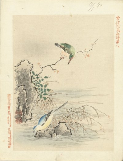 翠鸟在水边看鸟
狩野常信的花鸟素描（系列标题）
Kano Tsunenobu kacho gafu（物体上的系列标题） 作者 青木小三郎
