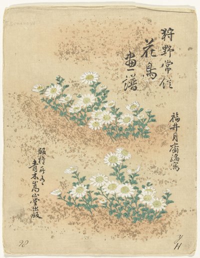 目录
狩野常信的花鸟素描（系列标题）
Kano Tsunenobu kacho gafu（实物上的系列名称） 作者 青木小三郎