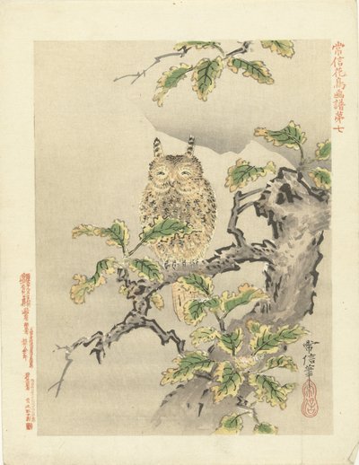 树枝上的猫头鹰
狩野常信的花鸟素描（系列标题）
Kano Tsunenobu kacho gafu（物体上的系列标题） 作者 青木小三郎