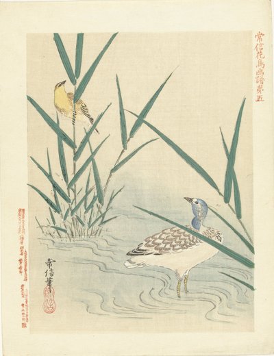 水鸟观黄莺
狩野常信的花鸟素描（系列标题）
Kano Tsunenobu kacho gafu（物体上的系列标题） 作者 青木小三郎
