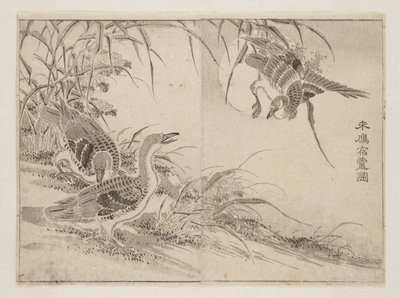 生活在芦苇丛中的大雁（彩色木刻版画 作者 观世斋