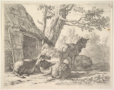 1658年，四只羊，另一只羊站在地上，旁边是三只羊，旁边有一个棚子。 作者 卡雷尔·杜·贾丁（Karel Du Jardin）