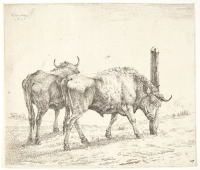 两头牛 作者 Karel Du Jardin