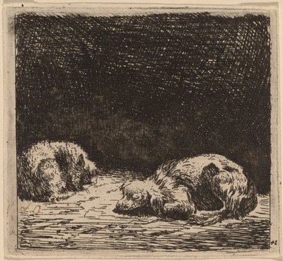 猫狗 作者 卡雷尔·杜哈丁（Karel Dujardin）