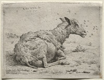 绵羊和苍蝇 作者 卡雷尔·杜哈丁（Karel Dujardin）