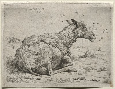 绵羊和苍蝇。 作者 卡雷尔·杜哈丁（Karel Dujardin）