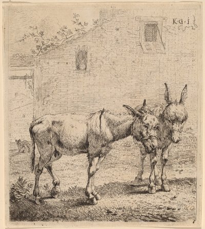 两个屁股 作者 卡雷尔·杜哈丁（Karel Dujardin）