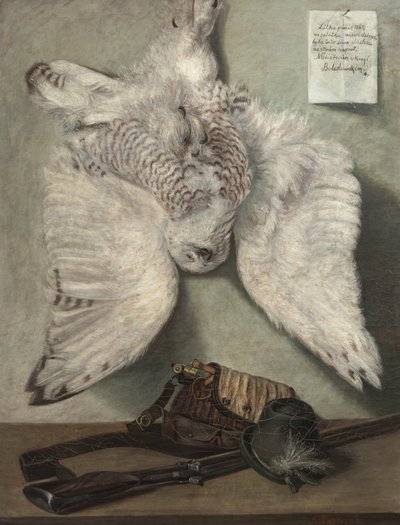 雪鸮 作者 卡雷尔·普基（Karel Purkyne）