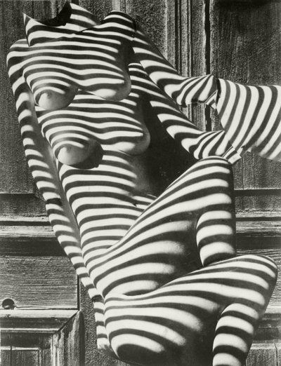 斑马女士 作者 卡雷尔·泰格