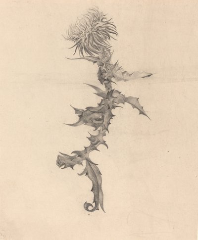 蓟门 作者 卡雷尔·维特兹斯拉夫·马塞克